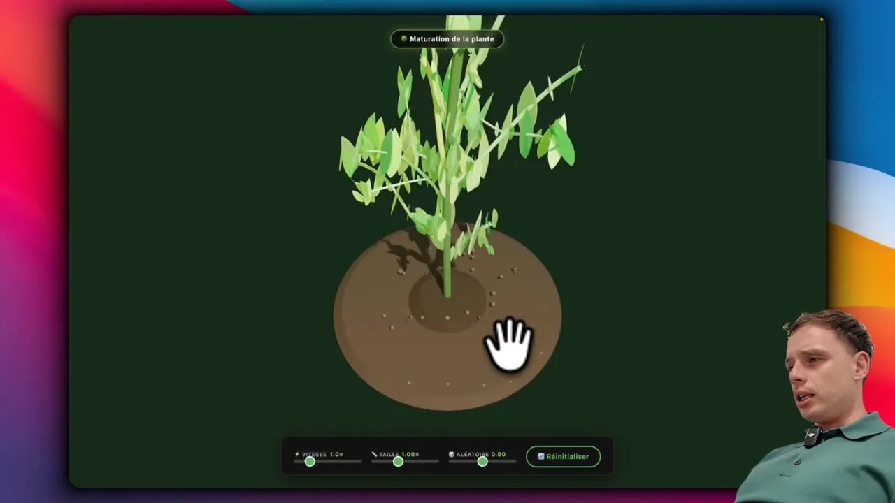 Capture d’écran simulation 3D : maturation d’une plante avec feuilles et tige